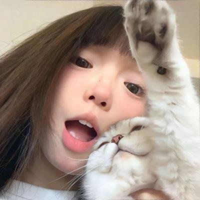来自中国的熊猫